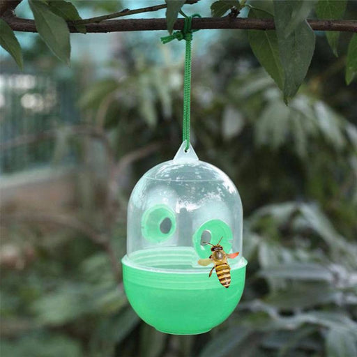 NEW 1 PC Bee Trapper Killer Hanging On Tree Hornet Trap Catcher - Great Stuff OnlineGreat Stuff Online