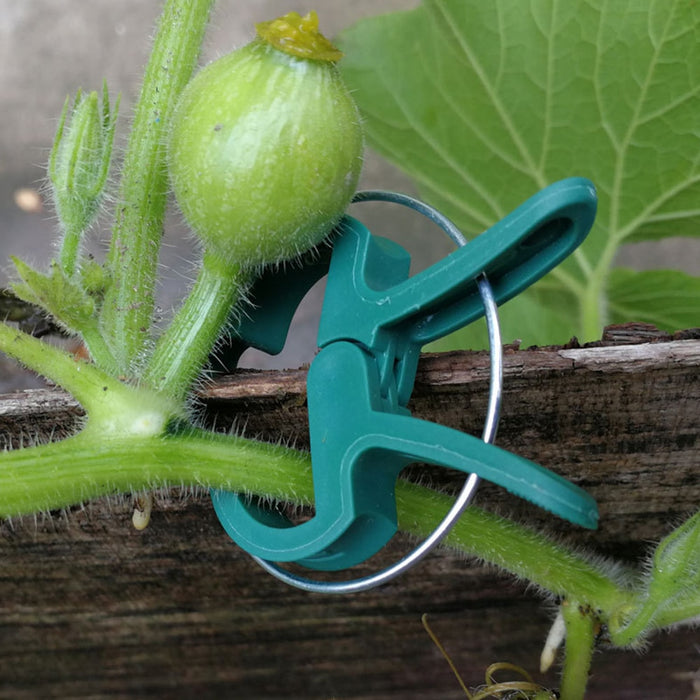 Multi-purpose Garden Clip - Great Stuff OnlineGreat Stuff Online