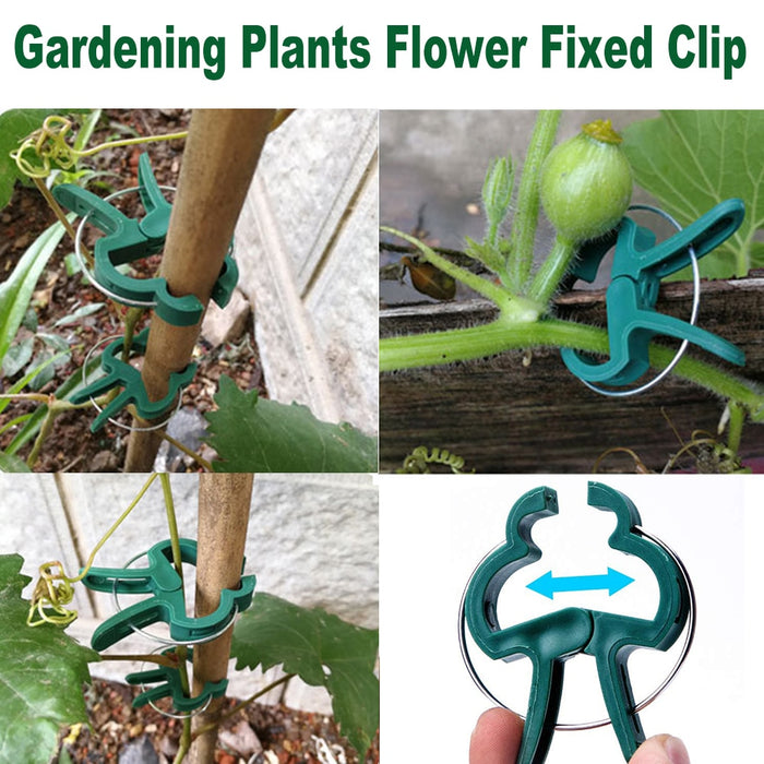 Multi-purpose Garden Clip - Great Stuff OnlineGreat Stuff Online