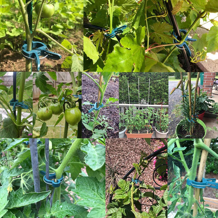 Multi-purpose Garden Clip - Great Stuff OnlineGreat Stuff Online