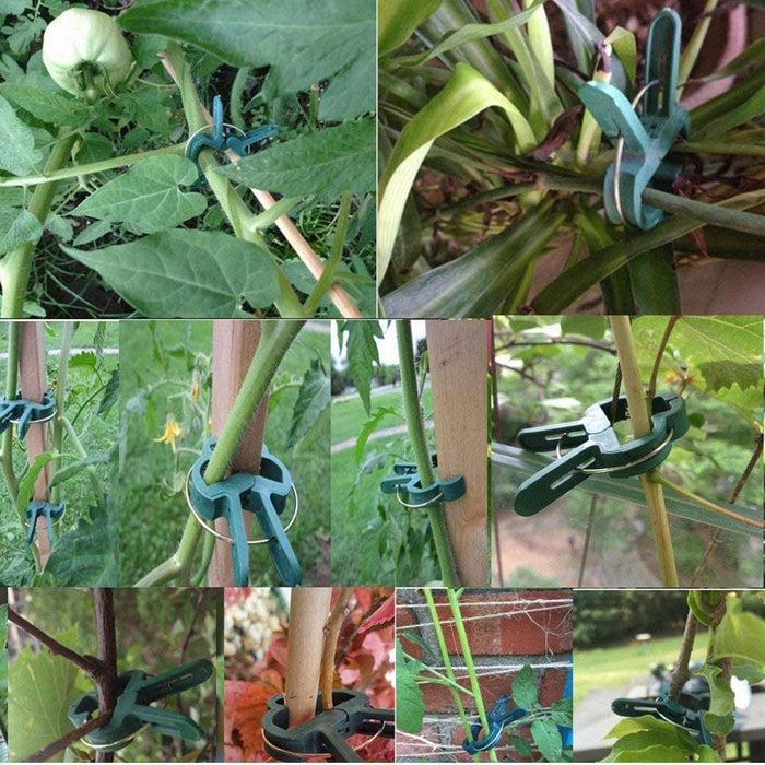Multi-purpose Garden Clip - Great Stuff OnlineGreat Stuff Online